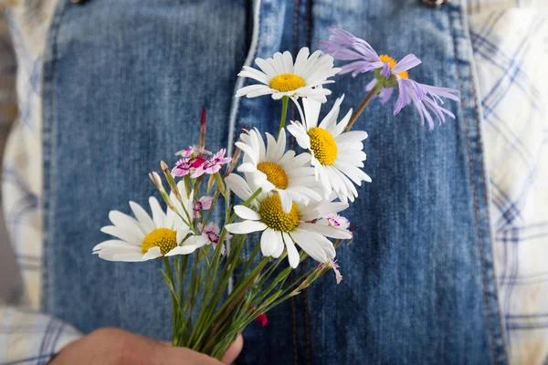 Närbild Chamomiles Kvinna Hand — Stockfoto