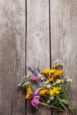 Eski grunge ahşap arka planda yabani çiçekler (papatya lupin karahindiba kekik çiçekleri nane çanları tecavüz).