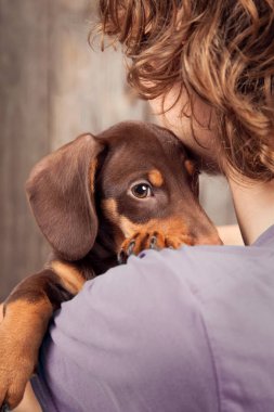 köpek köpek doğurmak dachshund omuz bir çocuk, Genç ve hayvanını üzücü