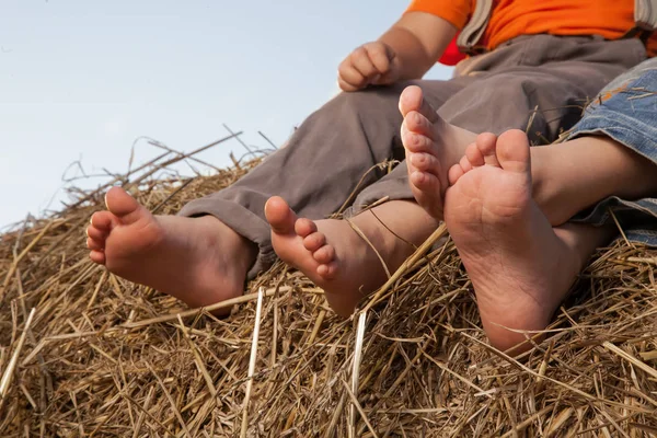 Barefoot Children Voeten Het Hooi — Stockfoto