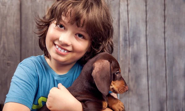 Cachorro Cão Raça Dachshund Menino Feliz — Fotografia de Stock