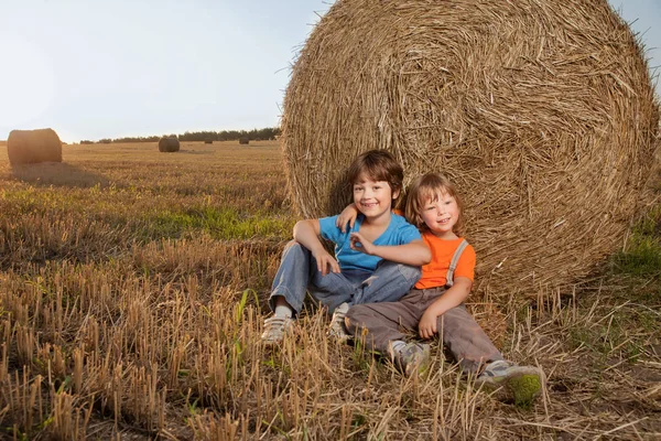 Dwóch Małych Chłopców Stogu Siana Polu Jesienią — Zdjęcie stockowe