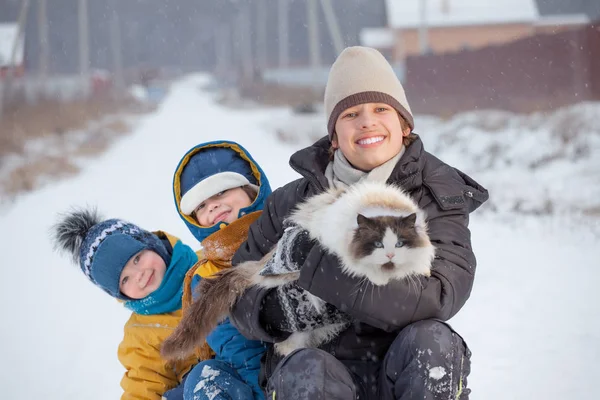 Tres Niños Felices Juegan Con Gato Aire Libre Invierno —  Fotos de Stock