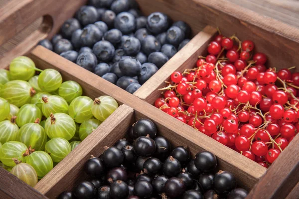 Rote Und Schwarze Johannisbeeren Blaubeeren Und Stachelbeeren Holzkiste — Stockfoto