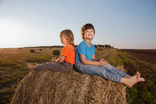 Twee Jongetjes Een Hooiberg Het Veld Herfst — Stockfoto