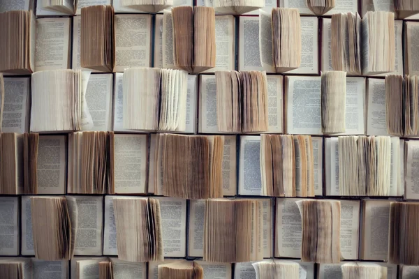 Eski kayıtlarda açık Kütüphane içinde bookshelf