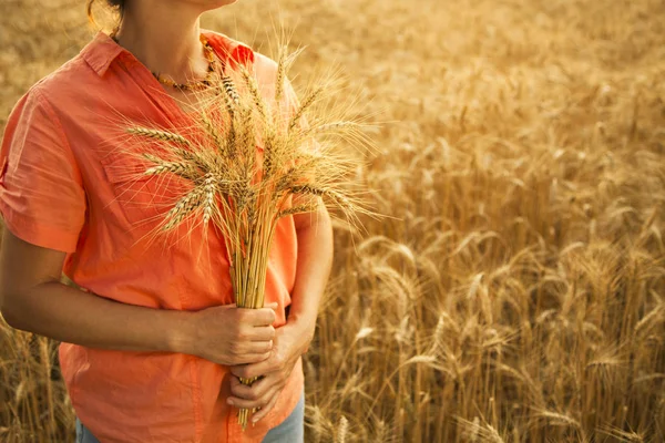 Mulher no campo com trigo na mão. Pôr do sol. Verão — Fotografia de Stock