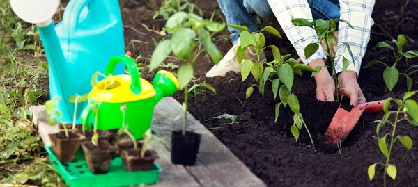 Menina no jardim faz plantar sementes — Fotografia de Stock