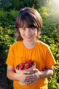 neşeli çocuk ile meyve sepeti