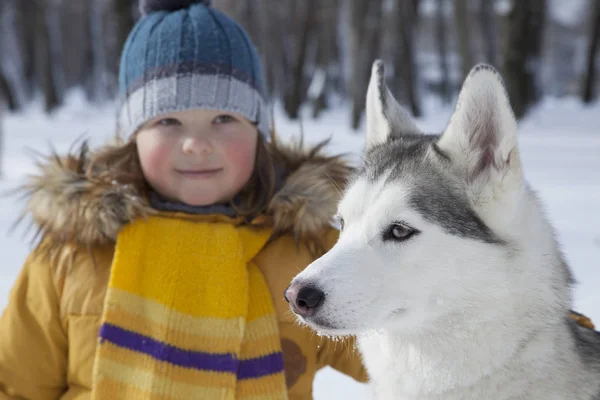 Menino Feliz Brincando Com Cão Husky Livre Dia Inverno — Fotografia de Stock