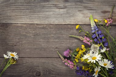 Eski grunge ahşap arka plan (papatya lupine d.