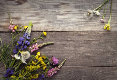 Eski grunge ahşap arka plan (papatya lupine d.