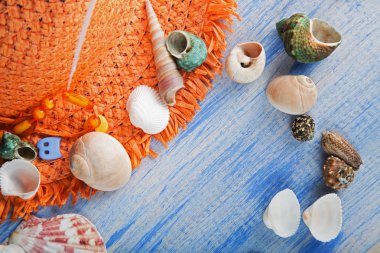 plaj aksesuarları gözlük şapka cockleshells