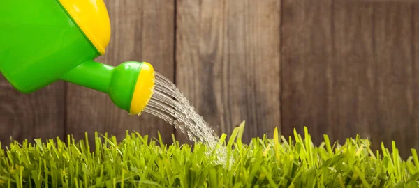 Watering can water the grass at wooden fence on a summer day — Stock Photo, Image