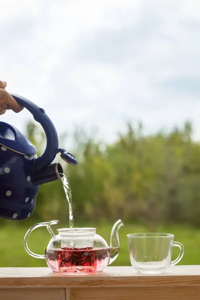 Filling the kettle with boiling water Carcade tea drinking on th — Stock Photo, Image