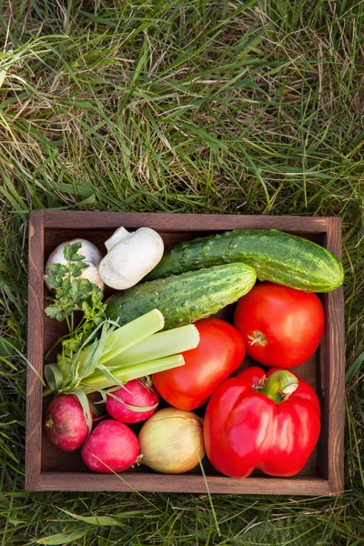 夏の庭の草の上にサラダのための箱の中の野菜 — ストック写真