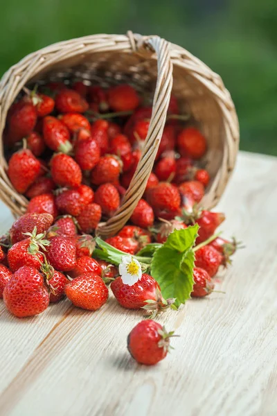 Basket with strawberry on table — Stock Photo, Image