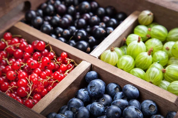 Rote schwarze Johannisbeere Blaubeere Stachelbeere in einer Holzkiste — Stockfoto