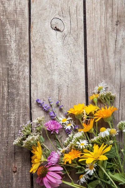 Fleurs sauvages sur fond vieux bois grunge (camomille lupin d — Photo