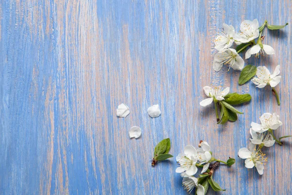 Vårblommor på blå bakgrund av en gammal Vintage blå Boa — Stockfoto