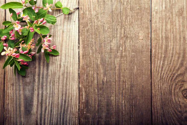 Sspring Tree Flowers på bakgrund av gamla Vintage Board — Stockfoto