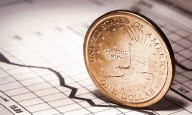 Grafikteki bir dolar