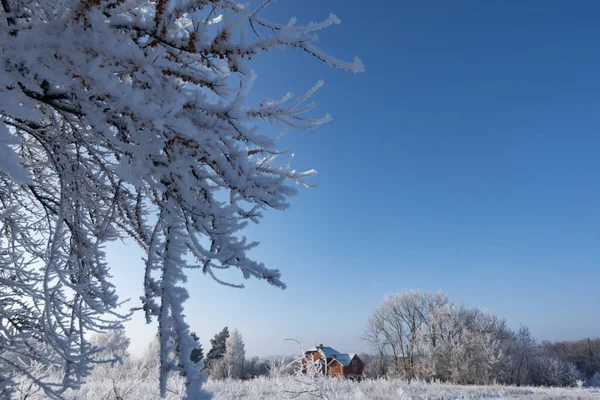 Winter wonderland sunset view of frozen trees scenery panoramic — Stock Photo, Image