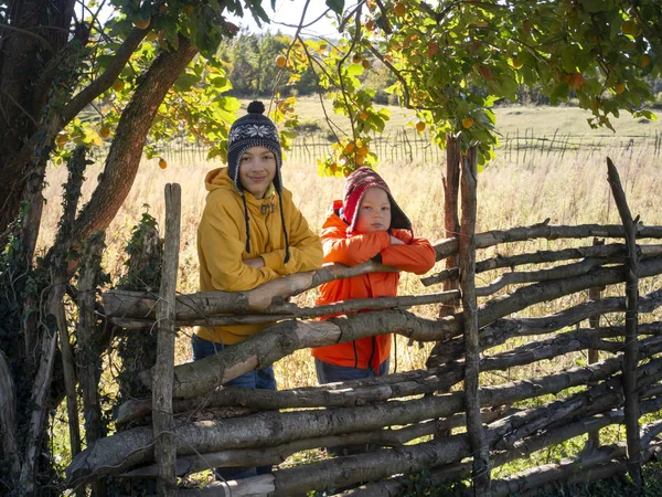 Twee kinderen in hoeden staan bij een boomhek, jongen spelen in het dorp — Stockfoto