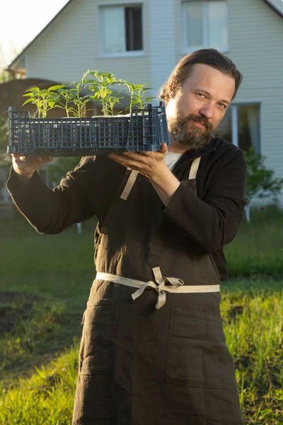 Vrouw Achtertuin Met Zaailing Plant Tuinieren Concept — Stockfoto