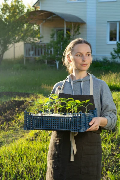 Mulher Quintal Com Planta Plântulas Conceito Jardinagem — Fotografia de Stock