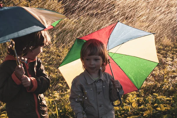Two Happy Brother Umbrella Summer Outdoors — Stock Photo, Image