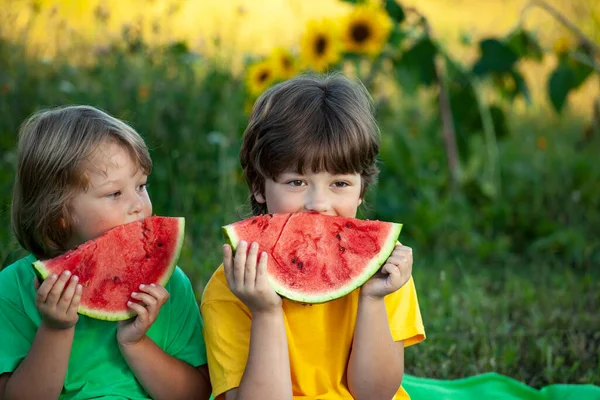 Szczęśliwe Dziecko Jedzenie Arbuza Ogrodzie Dwóch Chłopców Owocami Parku — Zdjęcie stockowe