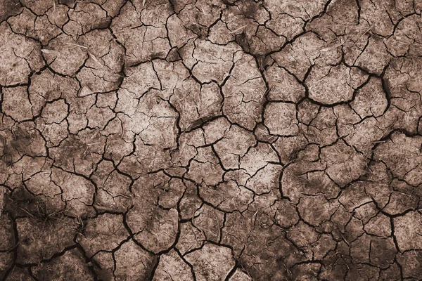 Suelo Seco Agrietado Durante Sequía Visto Desde Arriba —  Fotos de Stock