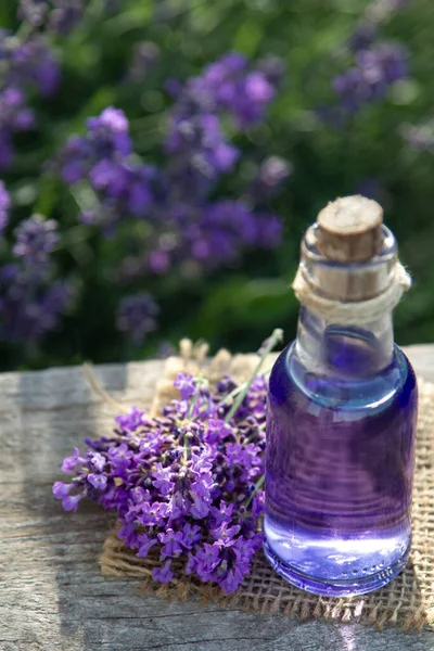Ätherisches Flasche Und Lavendelblüten Feld Stockbild