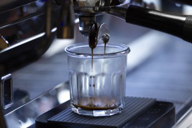 Profesyonel kahve makinesi espresso yapıyor.