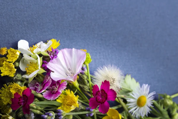 Wilde Blumen Strauß Auf Blauem Hintergrund — Stockfoto