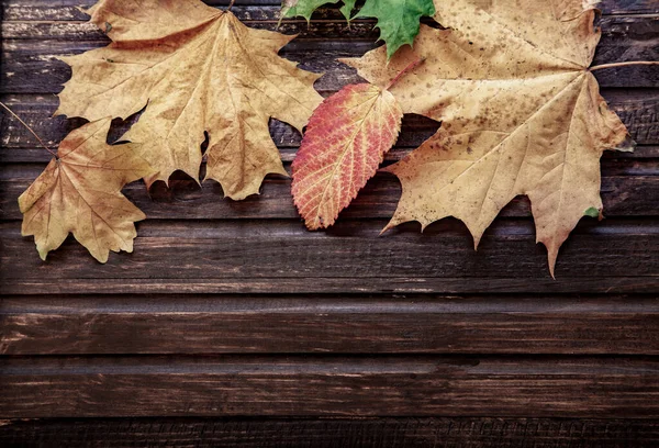 Podzimní List Dřevěném Černém Pozadí Pohled Shora Oranžový List Staré — Stock fotografie