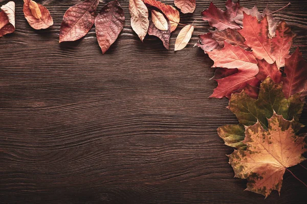 Hoja Otoño Sobre Fondo Negro Madera Vista Superior Hoja Naranja — Foto de Stock