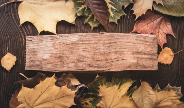 İşaret tabelalı sonbahar arkaplanı, eski grunge ahşap güvertesinde portakal yaprağı, yazı için fotokopi yeri, üst görünüm, metin için tablet.