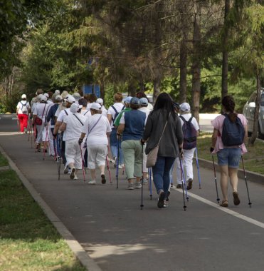 Bir grup yaşlı kadın doğada İskandinav yürüyüşü yapıyor.