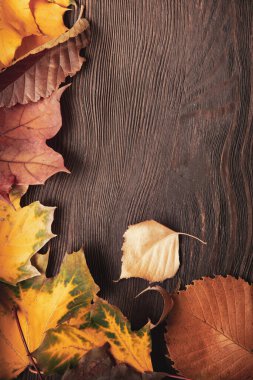 Ahşap zemin üzerinde sonbahar yaprağı (üst görünüm) Eski grunge ahşap güverte üzerinde portakal yaprağı, kopyalama alanı, üst görünüm