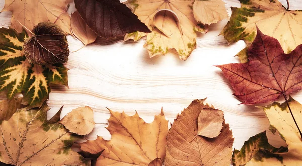 Jesienny Liść Drewnie Czarny Tło Widok Góry Pomarańczowy Liść Drewniany — Zdjęcie stockowe