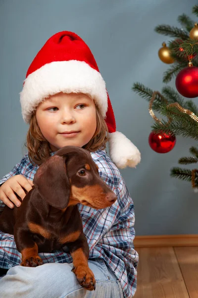 Niño Jugando Interior Con Perro Cerca Del Abeto Navidad — Foto de Stock