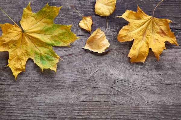 Jesienny Liść Drewnie Czarny Tło Widok Góry Pomarańczowy Liść Starym — Zdjęcie stockowe