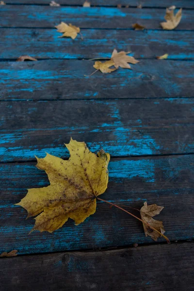 Hoja Otoño Sobre Fondo Azul Madera Vista Superior Hoja Naranja —  Fotos de Stock