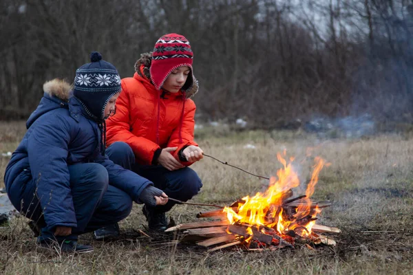 Zwei Brüder Braten Hotdogs Lagerfeuer Kinder Amüsieren Sich Herbstlichen Lagerfeuer — Stockfoto