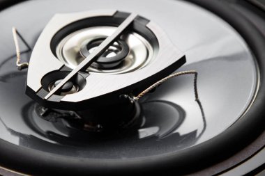 Üç yönlü hoparlör sistemi, eş eksenli hoparlör, araba sesli müzik, subwoofer. Üst görünüm