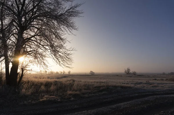 Zima Wonderland Zachód Słońca Widok Zamarzniętych Drzew Krajobrazy Panoramiczne Szeroki — Zdjęcie stockowe