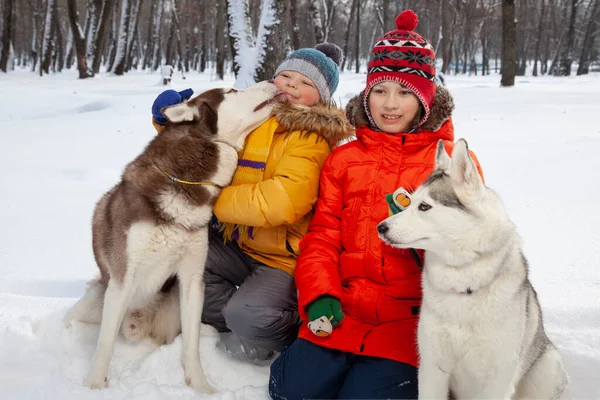 Jungen Spielen Winter Mit Weißem Husky Hund Hunde Und Kind — Stockfoto