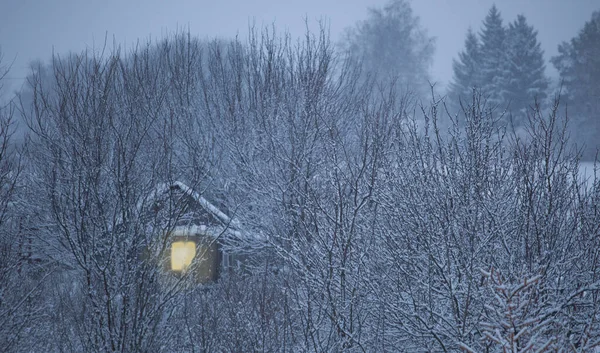 Όμορφο Ξύλινο Σπίτι Στο Δάσος Του Χειμώνα — Φωτογραφία Αρχείου